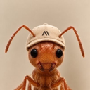 $ANT logo: orange ant wearing a beige cap